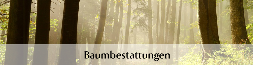 baumbestattungen in Berlin