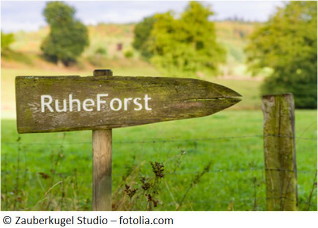 Ruheforst