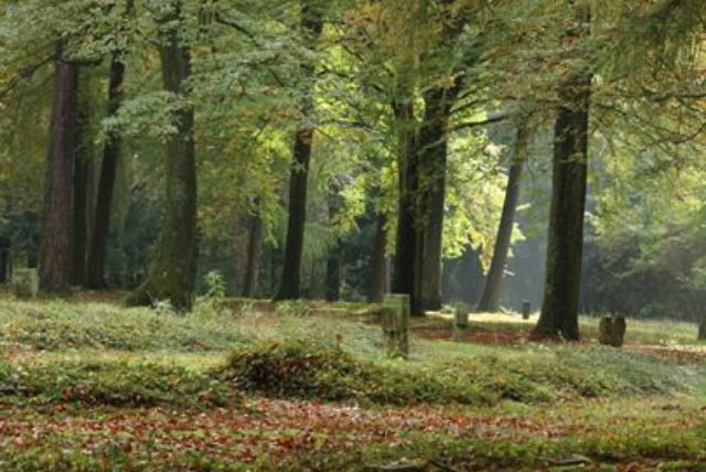 Waldfriedhof