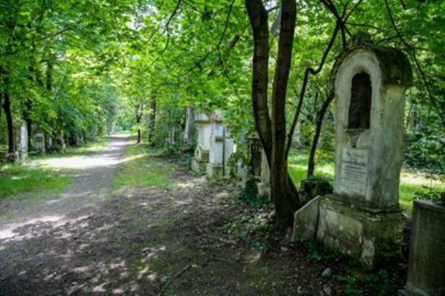 Parkfriedhof